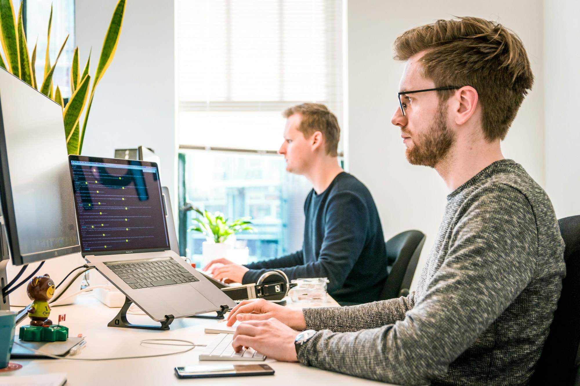 Software development team working on a web project